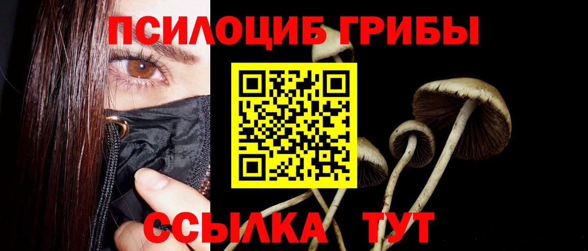 как найти закладки  Вход с VPN  Урай  Псилоцибиновые грибы GOLDEN TEACHER 